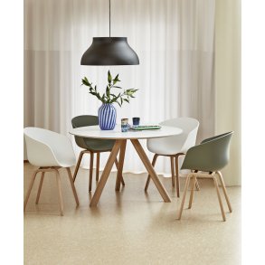 CHAIR CAMPAIGN